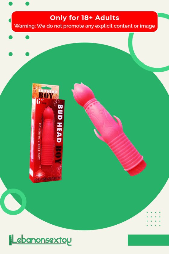 Bud Head Boy Fun Vibrator FV-001