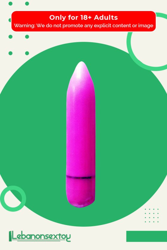 Female Purse Vibrator RSV-004