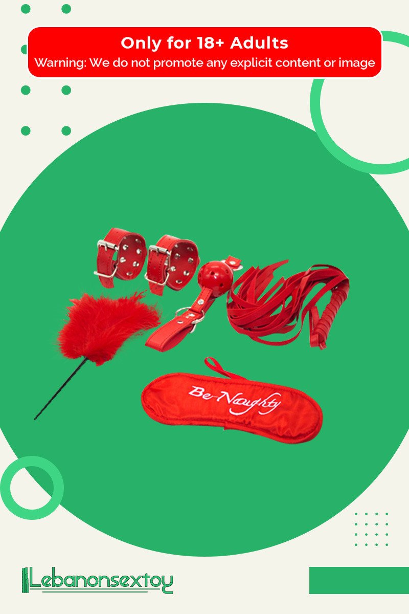BDSM SEX KIT Bracelet+Whip+Goggles+Feather+Mouth Ball Gag BDSM-001